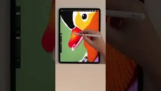 Drawing a Mandarin Duck in #procreate