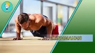 Отжимания [ОФП]