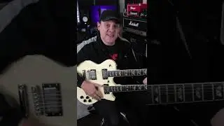 The Ultimate Budget Double Neck Guitar?