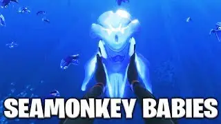 SEAMONKEY BABIES in Subnautica Below Zero
