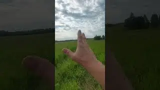 Интернет завизависимость  ,дорога, Демон Мара.Сонный паралич.