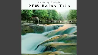 Nice Rest Island with Hyper Calm Tunes