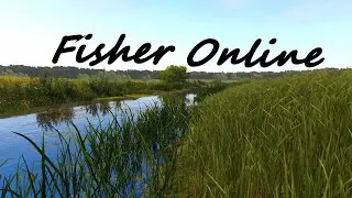 🐠Fisher Online🐡с нуля на mail.ru №14🦞