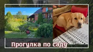 ДОЛГОЖДАННЫЙ ДОЖДЬ☔️ УРАГАН ОРХАН ПРОШЕЛ МИМО