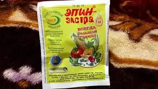 Эпин - надёжный и эфективный регулятор роста для защиты ваших растений. Описание и применение