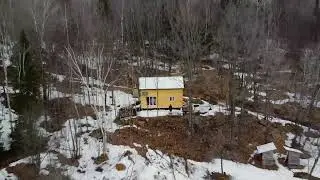 Pullback shot in forest Near Missed DJI Mini 2
