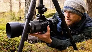 Tele Macro with the Versatile Olympus 100-400mm  | Zeapon Micro 2 Slider