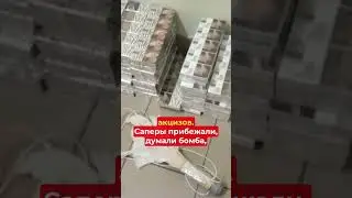 Lukashenko Launches Belarus into the Sky: Cigarettes on Balloons
