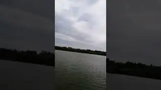Сход