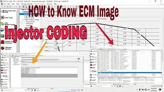 How to know ECM Image & How do Injector Coding in BS4
