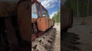 Вот такая гусеница 