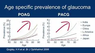 4 2 Epidemiology of the glaucomas