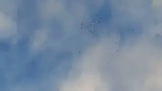 Среда утро 18 10 2023 года