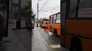 Троллейбус 3101 Нижний Новгород 