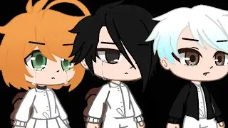 ×meme ×Hero×The promissed Neverland×