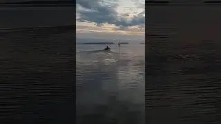 Онежское озеро. На рейде