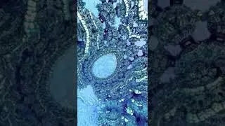 Air structure