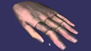 Old hand model