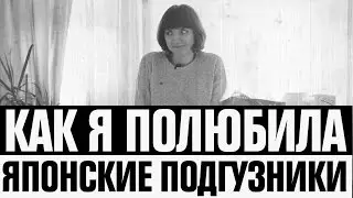 Moony, Goon, Merries или Как я полюбила японские подгузники