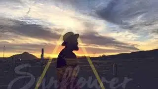 Sunflower (Cover)