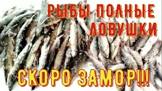 ЛОВЛЯ ЛОВУШКАМИ ЗИМОЙ /СКОРО ЗАМОР/ ЛОВЛЯ РЫБЫ В ГЛУХОЗИМЬЕ /ЖИЗНЬ В ГЛУБИНКЕ/ TRAPING IN THE WINTER
