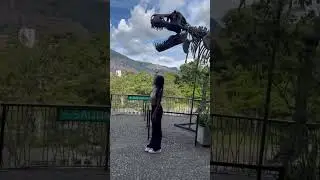 REAL LIFE DINOSAUR SKELETON