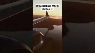 Who loves MSFS2020