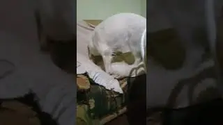Que linda minha doidinha