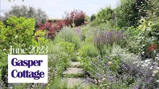 Fabulous flower filled cottage garden