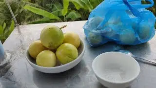 picking Passion Fruits sa ilahang kali (kalibunan)