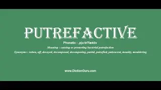 putrefactive: Pronounce putrefactive with Meaning, Phonetic, Synonyms and Sentence Examples