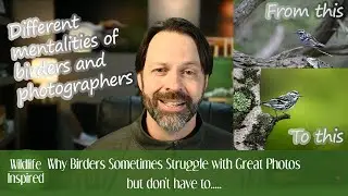 Why Birders Struggle with Bird Photography