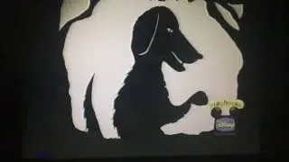 Bear in the big blue house- Shadow: Gus the Interactive Shadow Dog