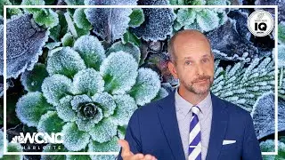 When to expect last freeze in the Carolinas