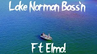 Lake Norman Bass'n Ft. Elmo!