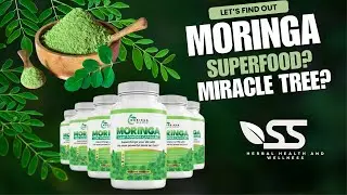 Moringa Benefits: Why This Superfood Solves Your 2025 Health Challenges