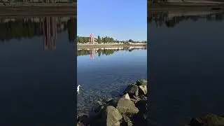 Река Тежу. 2 ноября 2024 года #река