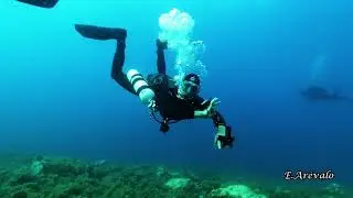 Buceo en El Gat con Orca Diving L'Escala