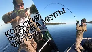 КОЛЬСКИЙ. 150 КГ ГОРБУШИ. ЧАСТЬ 2