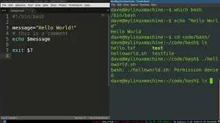 Bash Programming 4    How Bash Scripts Work