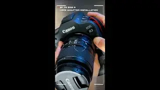 Canon EOS R3 Camera EF to EOS R Lens Adapter Install  on Katia's Buzz 🐝 TV