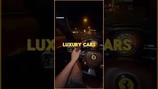 Emotions of a Trader