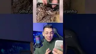 ⚠️ DESAFIO: Assistir esse video completo versão ARACNOFOBIA!! 