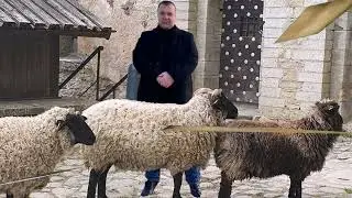 • БРАНИМИР • Я не хочу никуда уезжать •