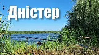 Ловля Сазана, карася, ляща на Дністрі. Рибалка з Дмитром на річці. САЗАН на ГОРОХ