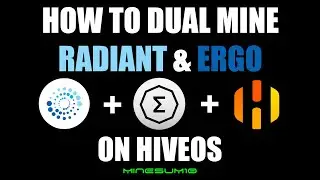 HOW TO : Dual Mine Radiant & Ergo on HiveOS.  Bzminer 12.0.1