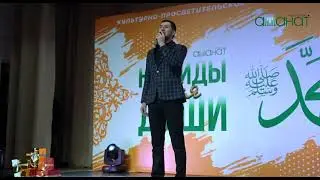 Группа Шейх Юсуф 