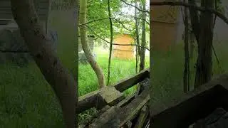 Airsoft Marshal "Finds" My Airsoft Land Mine #shorts #airsoft
