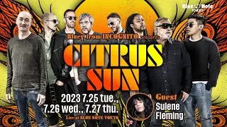 Bluey from INCOGNITO presents "CITRUS SUN" : BLUE NOTE TOKYO 2023 trailer
