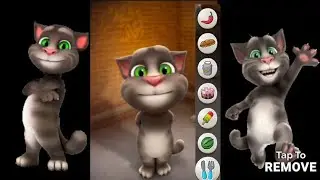 Tom Ka Khana Peena | 🌶️🥖🥛🎂🍦🍉 | Tom Talking